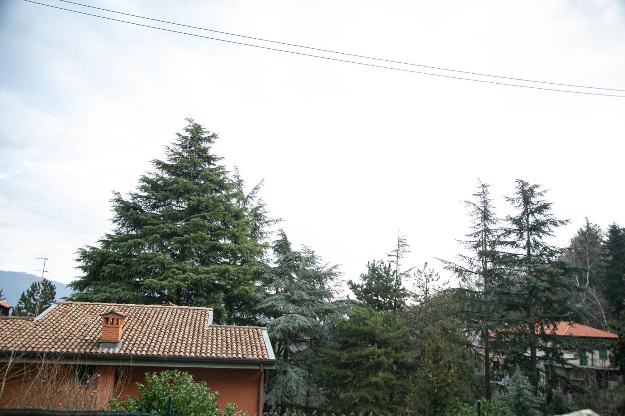 Casa Di Beppe Citta Alta Apartment Bergamo Exterior foto